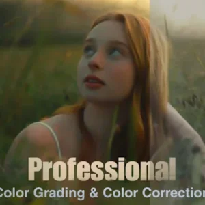 Professionally color grade your videos